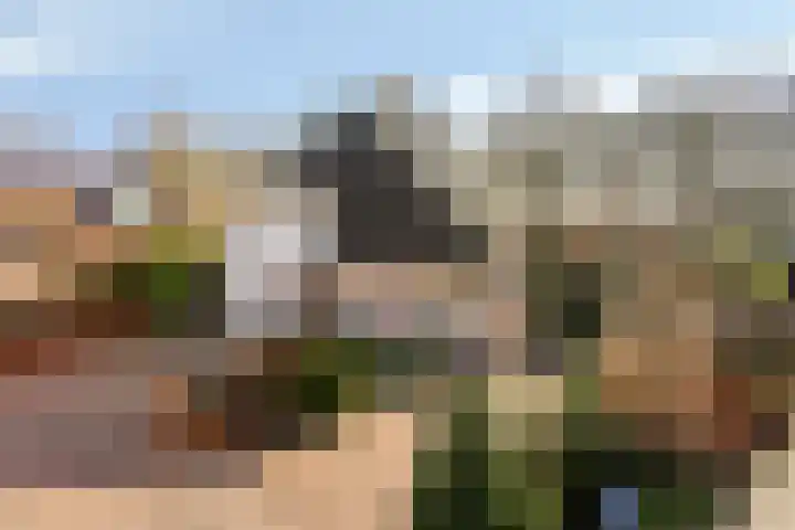 Oostergo 14 Dronten thumbnail 5