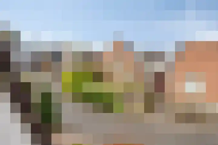Oostergo 14 Dronten thumbnail 50