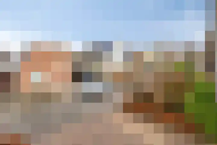 Oostergo 14 Dronten thumbnail 51