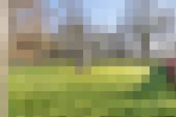 Oostergo 14 Dronten thumbnail 52
