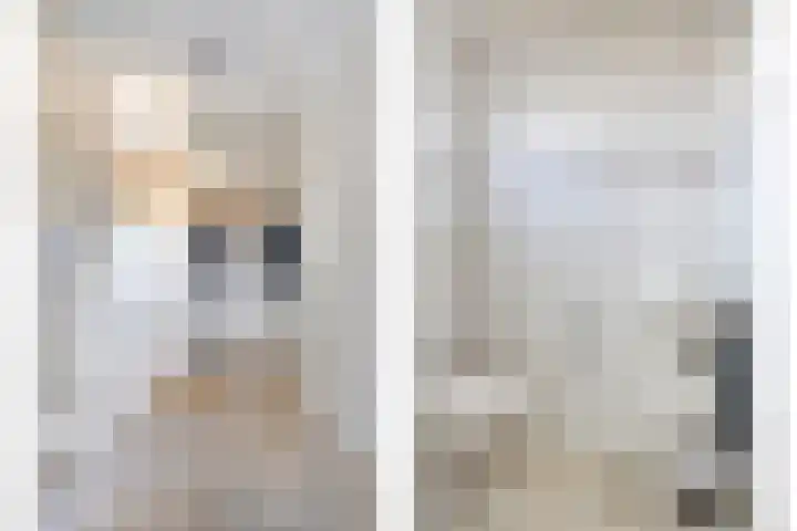Oostergo 14 Dronten thumbnail 8