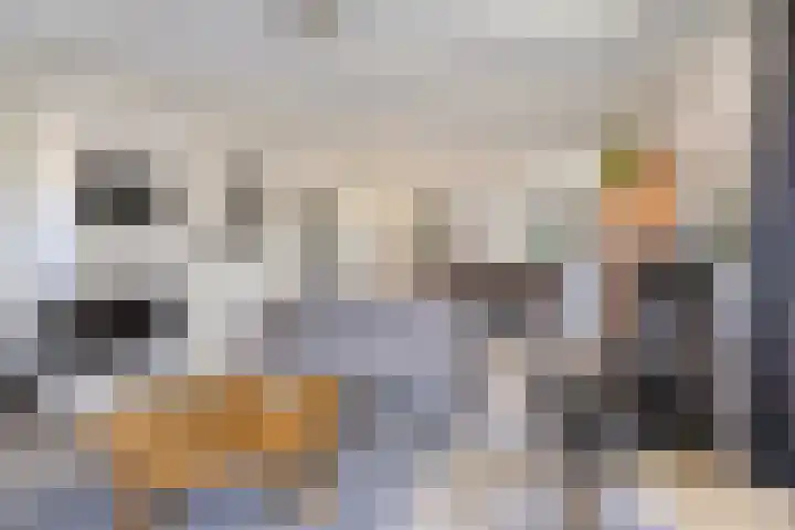 Oostergo 14 Dronten thumbnail 9