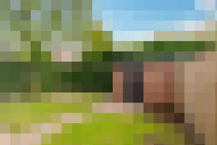 Oostergo 36 Zeewolde thumbnail 34