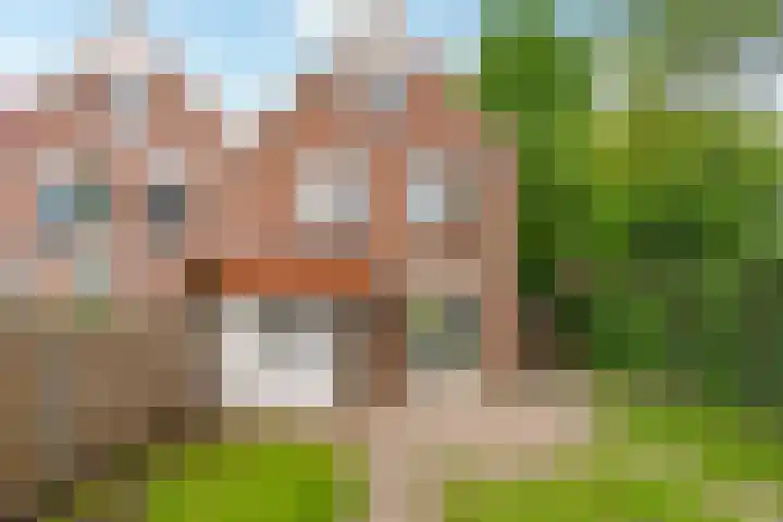 Oostergo 36 Zeewolde thumbnail 36