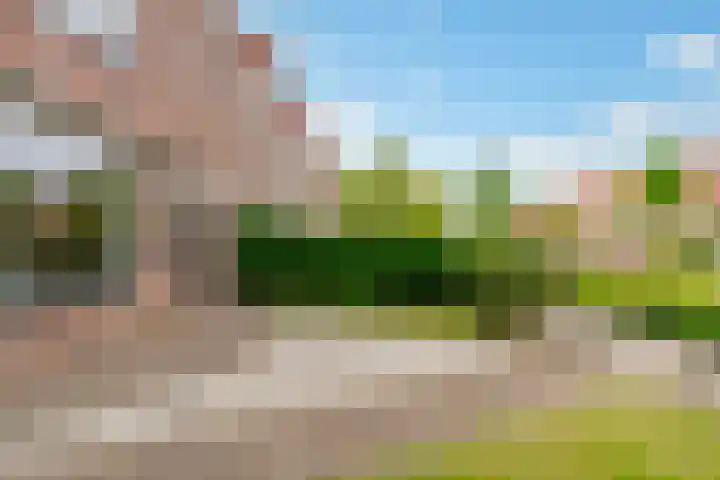 Oostergo 36 Zeewolde thumbnail 38
