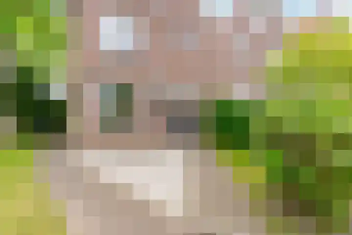 Oostergo 36 Zeewolde thumbnail 4