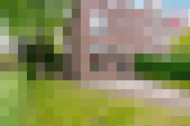Oostergo 36 Zeewolde thumbnail 40