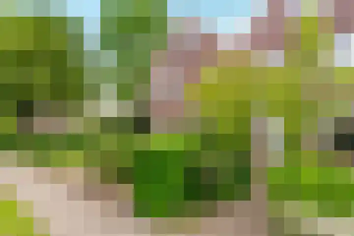 Oostergo 36 Zeewolde thumbnail 41