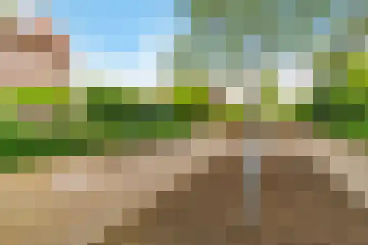 Oostergo 36 Zeewolde thumbnail 44