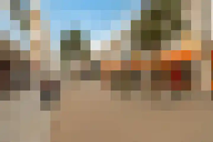 Oostergo 36 Zeewolde thumbnail 47