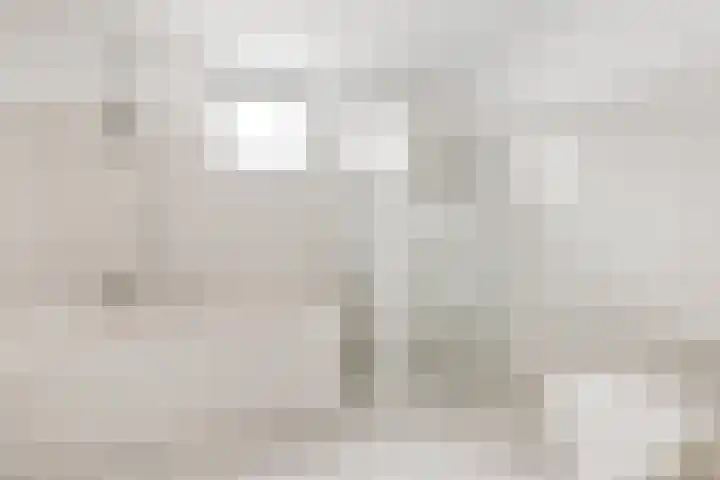 Oostergo 42 Zeewolde thumbnail 24