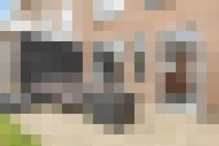 Oostergo 42 Zeewolde thumbnail 35