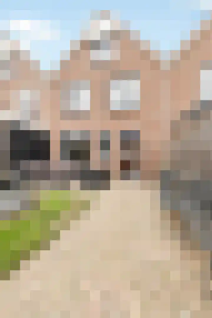 Oostergo 42 Zeewolde thumbnail 36