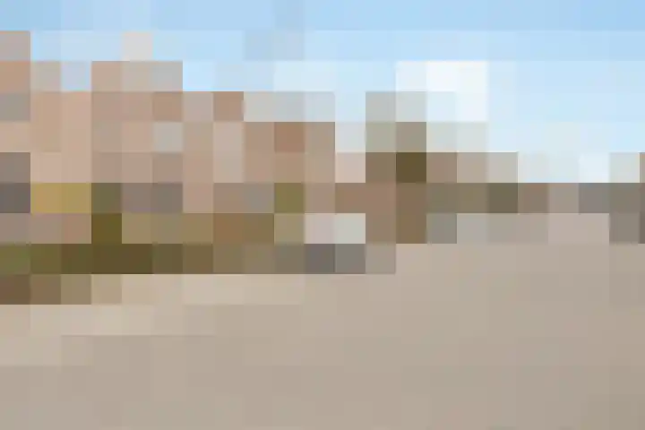 Oostergo 42 Zeewolde thumbnail 38