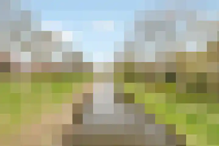 Oostergo 42 Zeewolde thumbnail 40