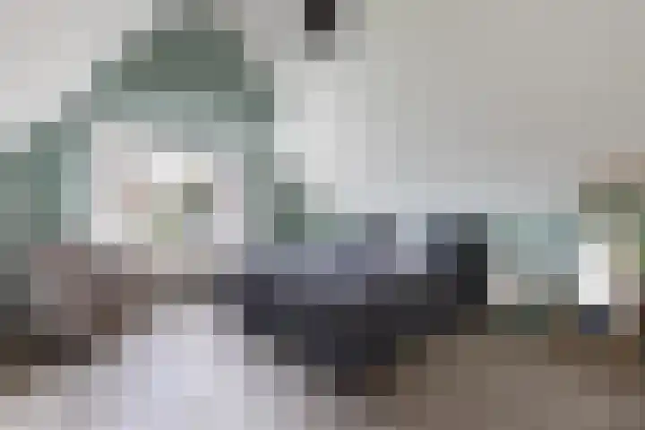 Oostergo 54 Lelystad thumbnail 35