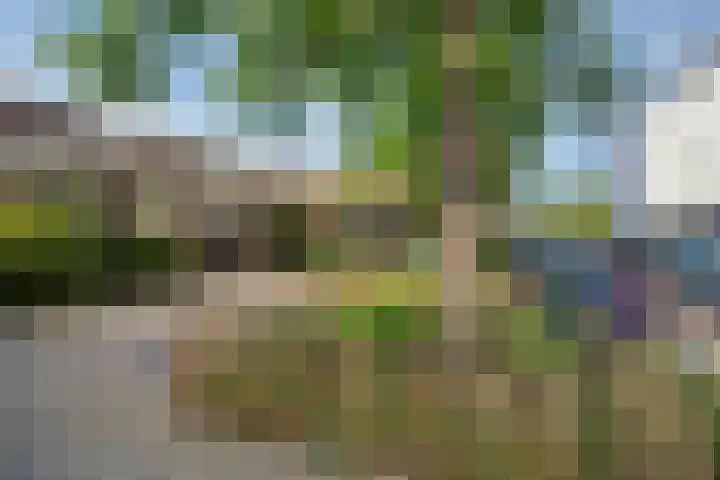 Oostergo 54 Lelystad thumbnail 46