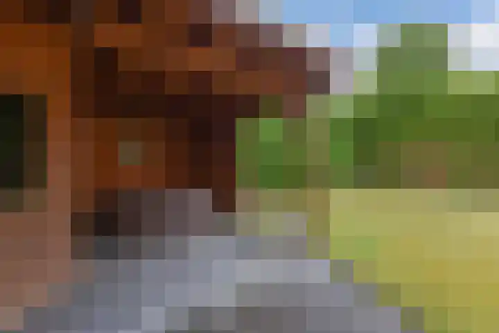 Oostergo 54 Lelystad thumbnail 59