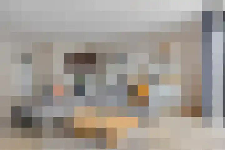 Oosterhof 2 Losser thumbnail 13
