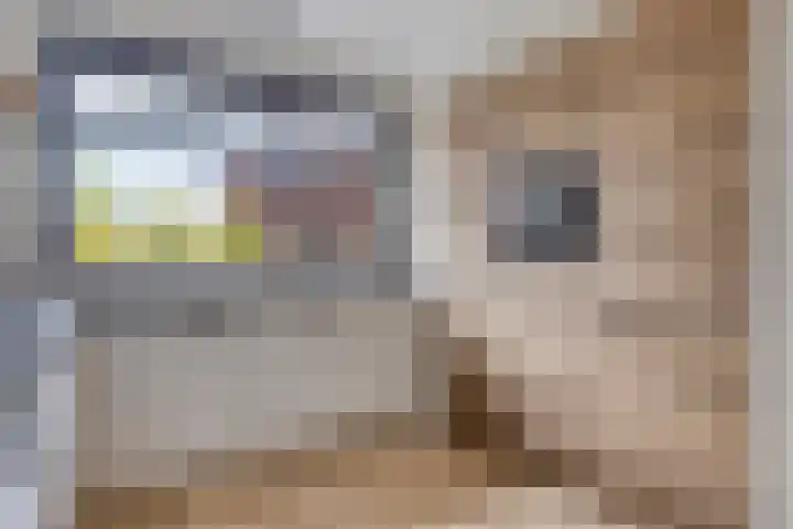 Oosterhof 2 Losser thumbnail 20