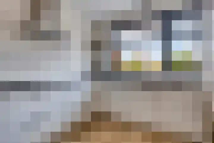 Oosterhof 2 Losser thumbnail 21