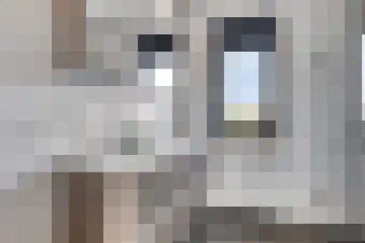 Oosterhof 2 Losser thumbnail 31