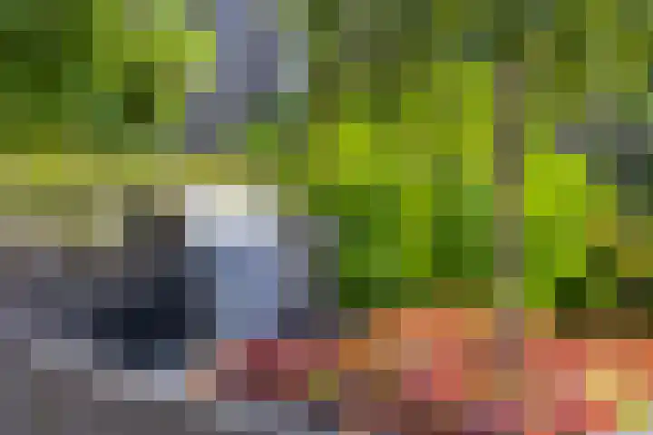 Oosterhof 2 Losser thumbnail 41