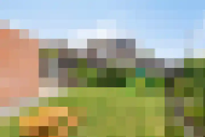 Oosterhof 2 Losser thumbnail 44