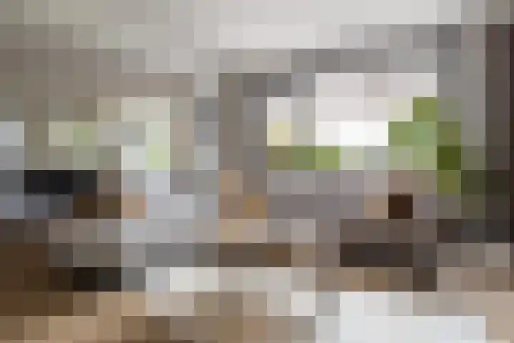 Oosterhoffpark 21 Lopik thumbnail 13