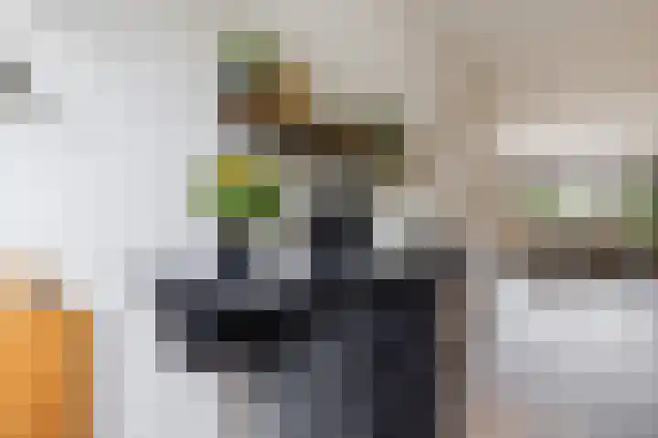 Oosterhoffpark 21 Lopik thumbnail 22