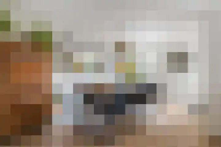 Oosterhoffpark 21 Lopik thumbnail 23