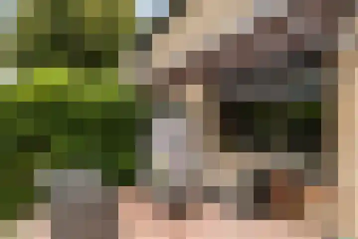 Oosterhoffpark 21 Lopik thumbnail 29