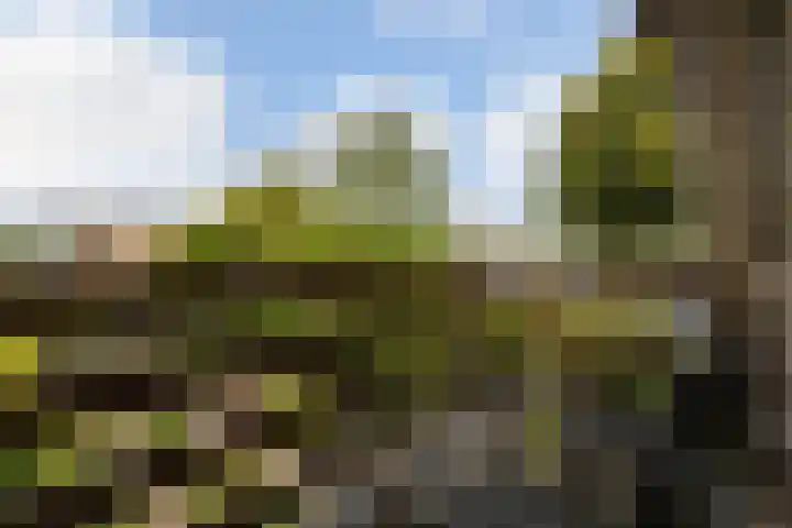 Oosterhoffpark 21 Lopik thumbnail 48