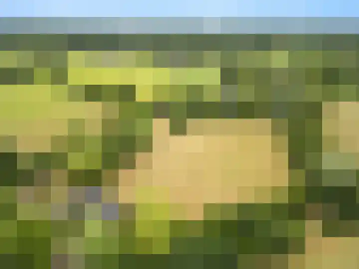 Oosterkamp 7 Lunteren thumbnail 27