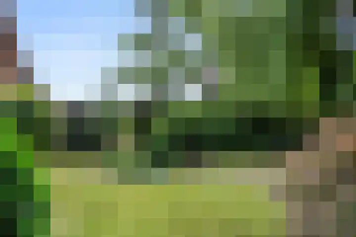 Oosterkamp 7 Lunteren thumbnail 32