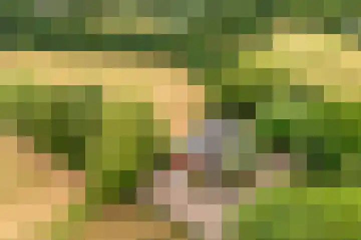 Oosterkamp 7 Lunteren thumbnail 4