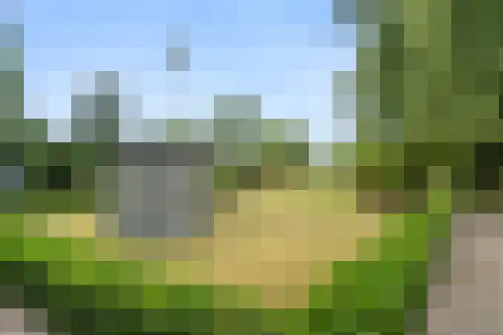 Oosterkamp 7 Lunteren thumbnail 40