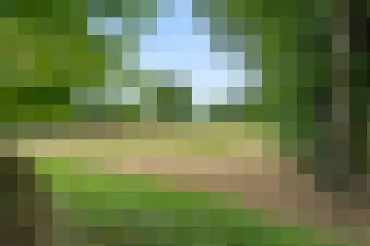 Oosterkamp 7 Lunteren thumbnail 41