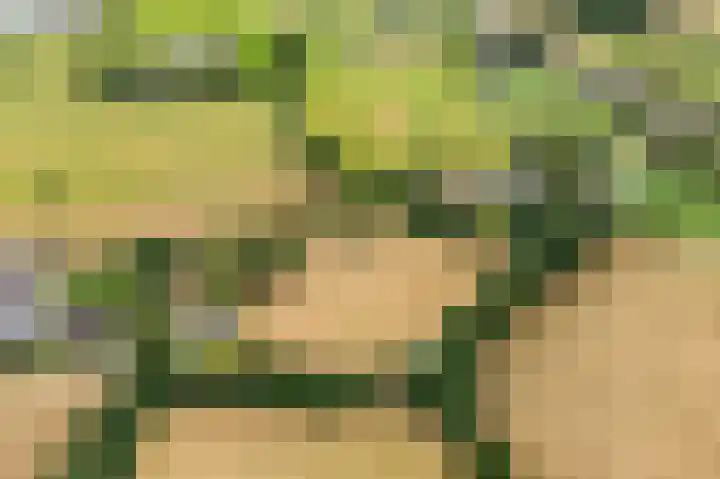Oosterkamp 7 Lunteren thumbnail 44