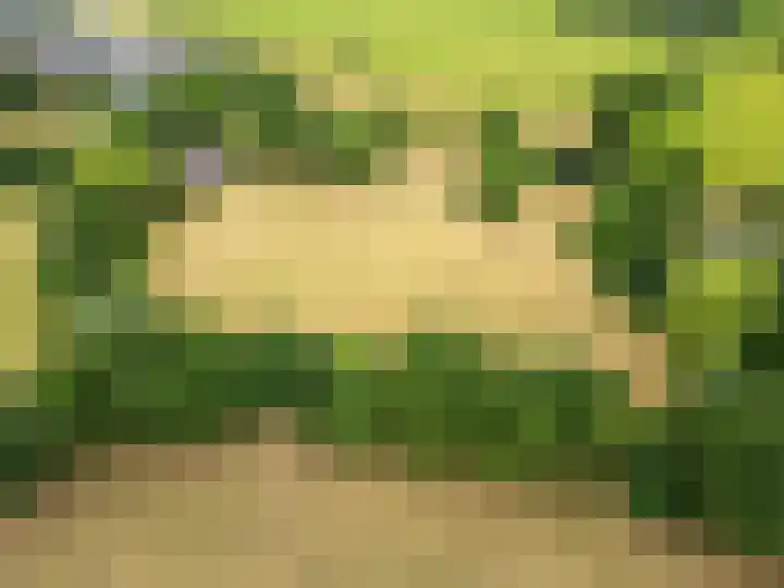 Oosterkamp 7 Lunteren thumbnail 45