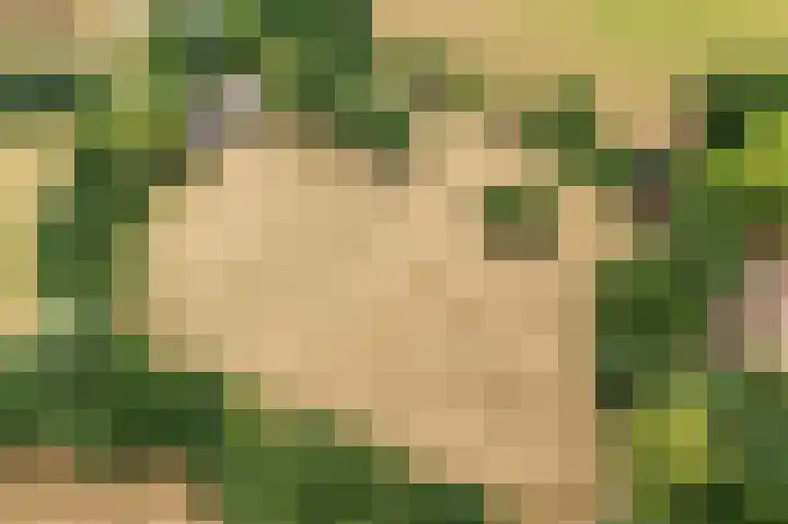 Oosterkamp 7 Lunteren thumbnail 47