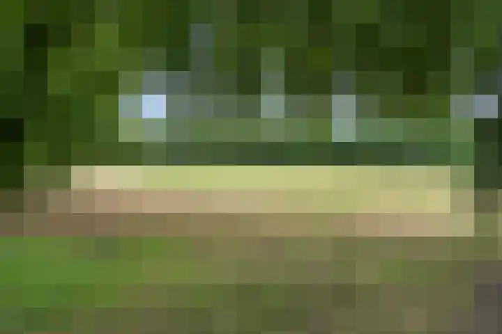 Oosterkamp 7 Lunteren thumbnail 52