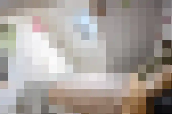 Oosterlaan 5 Schraard thumbnail 25