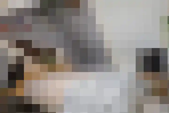 Oosterlaan 5 Schraard thumbnail 26