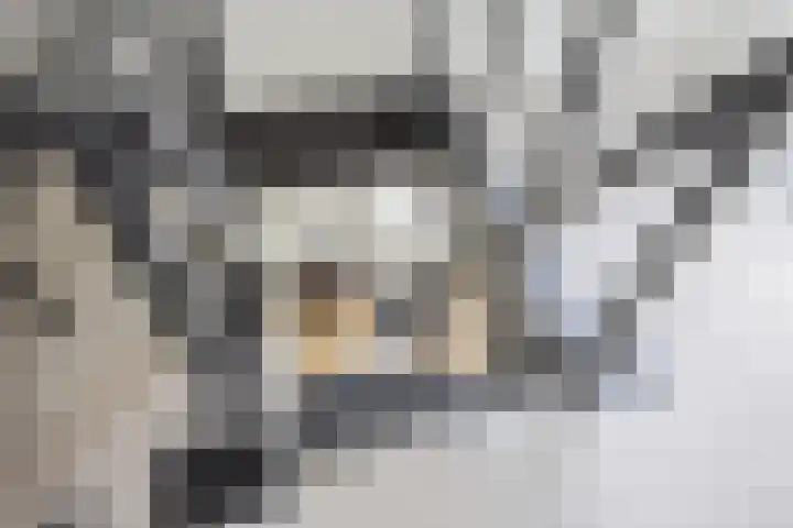 Oosterlaan 5 Schraard thumbnail 29