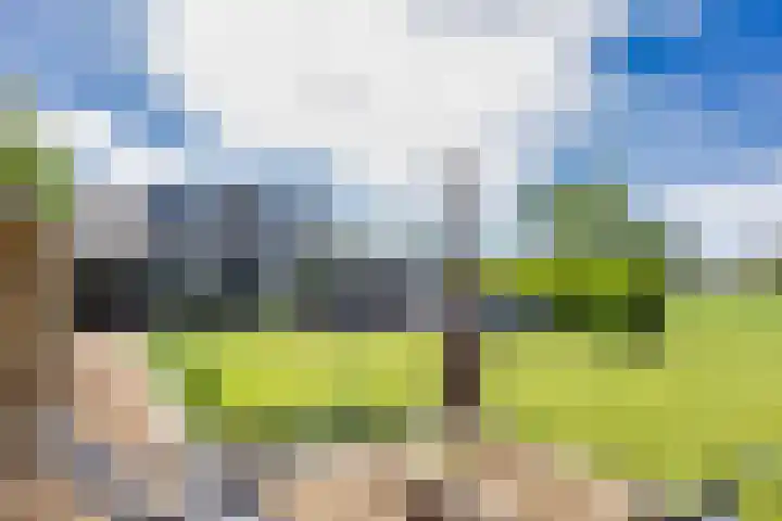 Oosterlaan 5 Schraard thumbnail 33