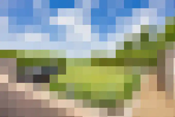 Oosterlaan 5 Schraard thumbnail 34