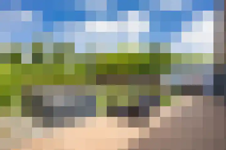 Oosterlaan 5 Schraard thumbnail 35
