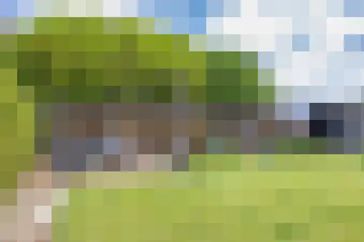 Oosterlaan 5 Schraard thumbnail 37