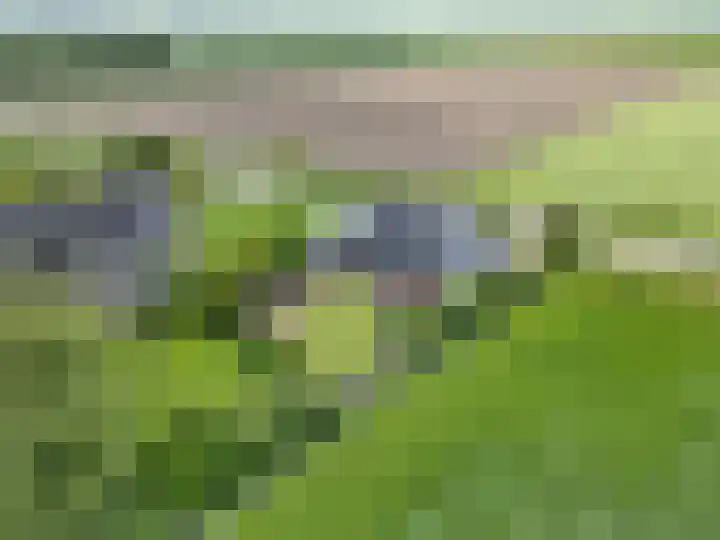 Oosterlaan 5 Schraard thumbnail 44
